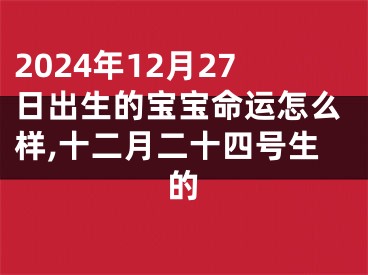 2024年12月27日出生的宝宝命运怎么样,十二月二十四号生的
