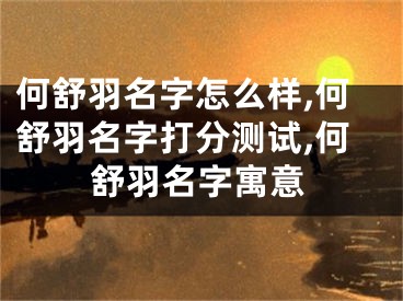 何舒羽名字怎么样,何舒羽名字打分测试,何舒羽名字寓意