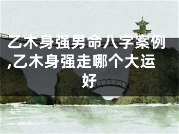 乙木身强男命八字案例,乙木身强走哪个大运好