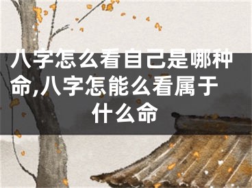 八字怎么看自己是哪种命,八字怎能么看属于什么命