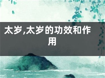 太岁,太岁的功效和作用
