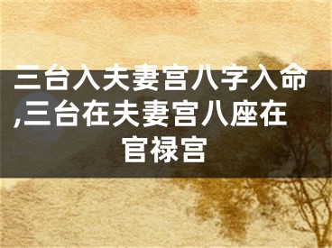 三台入夫妻宫八字入命,三台在夫妻宫八座在官禄宫