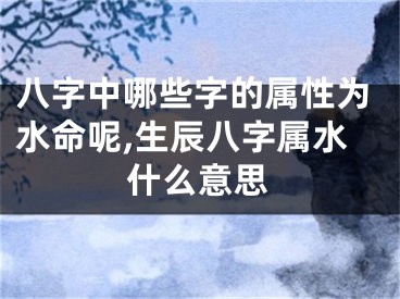 八字中哪些字的属性为水命呢,生辰八字属水什么意思