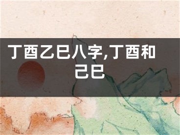 丁酉乙巳八字,丁酉和己巳