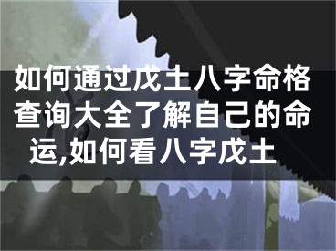 如何通过戊土八字命格查询大全了解自己的命运,如何看八字戊土