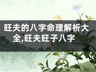 旺夫的八字命理解析大全,旺夫旺子八字