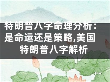 特朗普八字命理分析:是命运还是策略,美国特朗普八字解析