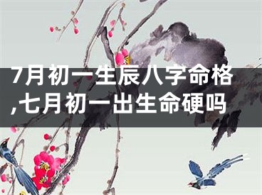 7月初一生辰八字命格,七月初一出生命硬吗