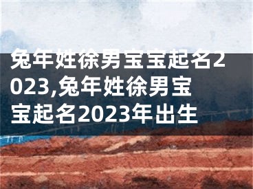 兔年姓徐男宝宝起名2023,兔年姓徐男宝宝起名2023年出生