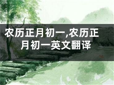 农历正月初一,农历正月初一英文翻译