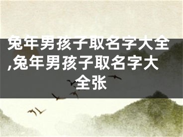 兔年男孩子取名字大全,兔年男孩子取名字大全张