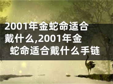 2001年金蛇命适合戴什么,2001年金蛇命适合戴什么手链