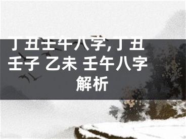 丁丑壬午八字,丁丑 壬子 乙未 壬午八字解析