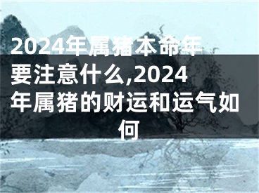 2024年属猪本命年要注意什么,2024年属猪的财运和运气如何