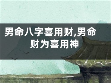 男命八字喜用财,男命财为喜用神