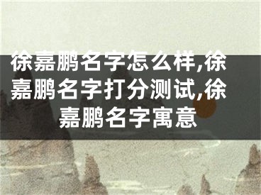 徐嘉鹏名字怎么样,徐嘉鹏名字打分测试,徐嘉鹏名字寓意