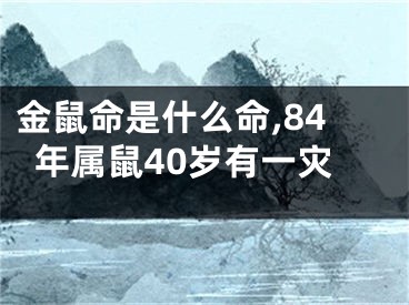 金鼠命是什么命,84年属鼠40岁有一灾