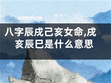 八字辰戌己亥女命,戌亥辰巳是什么意思