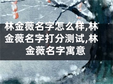 林金薇名字怎么样,林金薇名字打分测试,林金薇名字寓意