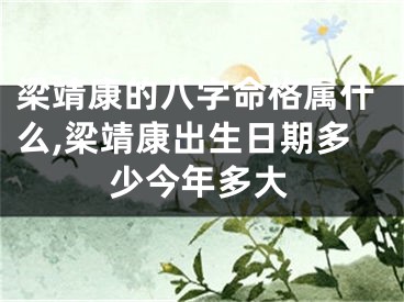 梁靖康的八字命格属什么,梁靖康出生日期多少今年多大