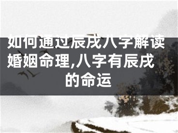 如何通过辰戌八字解读婚姻命理,八字有辰戌的命运