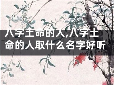 八字土命的人,八字土命的人取什么名字好听