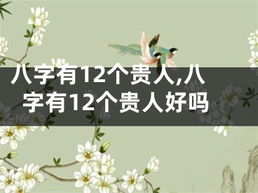八字有12个贵人,八字有12个贵人好吗
