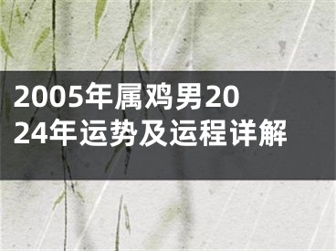 2005年属鸡男2024年运势及运程详解