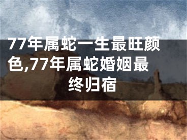 77年属蛇一生最旺颜色,77年属蛇婚姻最终归宿