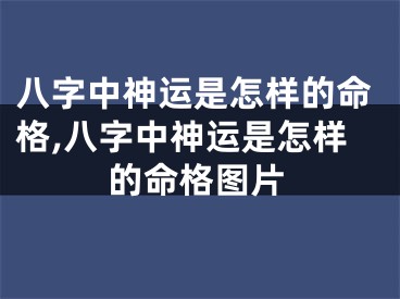 八字中神运是怎样的命格,八字中神运是怎样的命格图片