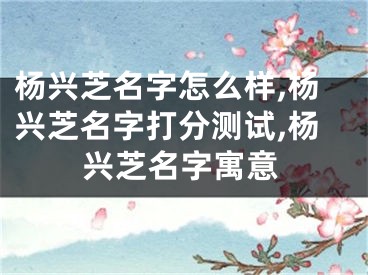 杨兴芝名字怎么样,杨兴芝名字打分测试,杨兴芝名字寓意