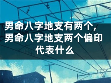 男命八字地支有两个,男命八字地支两个偏印代表什么