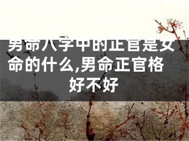 男命八字中的正官是女命的什么,男命正官格好不好