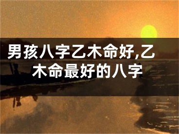 男孩八字乙木命好,乙木命最好的八字