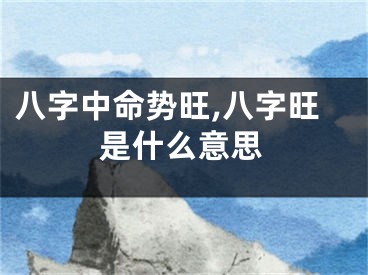 八字中命势旺,八字旺是什么意思