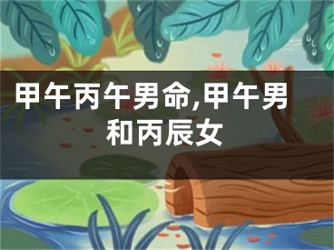 甲午丙午男命,甲午男和丙辰女