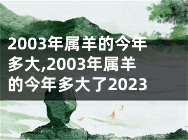 2003年属羊的今年多大,2003年属羊的今年多大了2023