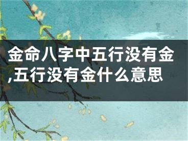 金命八字中五行没有金,五行没有金什么意思