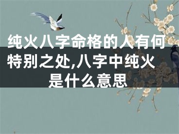 纯火八字命格的人有何特别之处,八字中纯火是什么意思