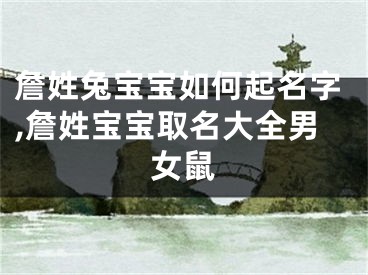 詹姓兔宝宝如何起名字,詹姓宝宝取名大全男女鼠