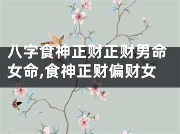 八字食神正财正财男命女命,食神正财偏财女