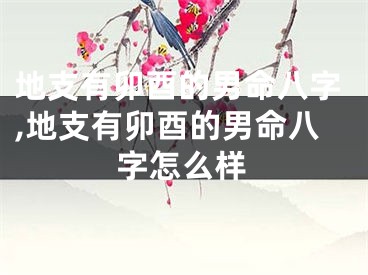 地支有卯酉的男命八字,地支有卯酉的男命八字怎么样