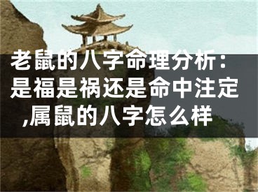 老鼠的八字命理分析:是福是祸还是命中注定,属鼠的八字怎么样