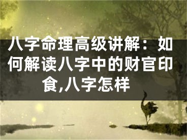 八字命理高级讲解:如何解读八字中的财官印食,八字怎样