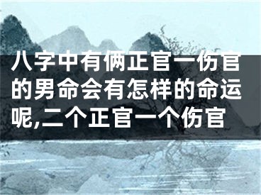 八字中有俩正官一伤官的男命会有怎样的命运呢,二个正官一个伤官