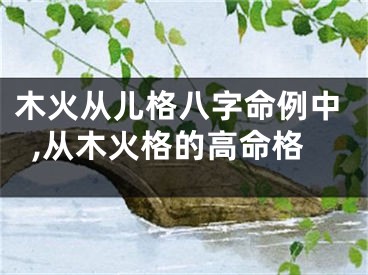 木火从儿格八字命例中,从木火格的高命格