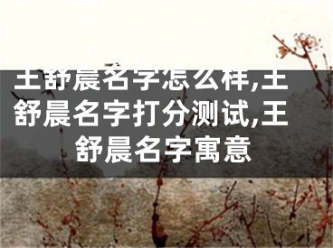 王舒晨名字怎么样,王舒晨名字打分测试,王舒晨名字寓意