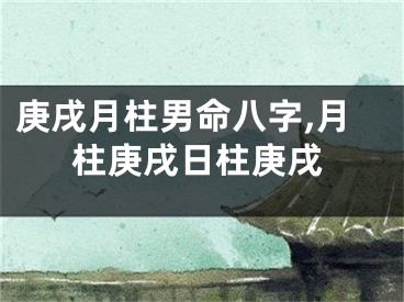庚戌月柱男命八字,月柱庚戌日柱庚戌