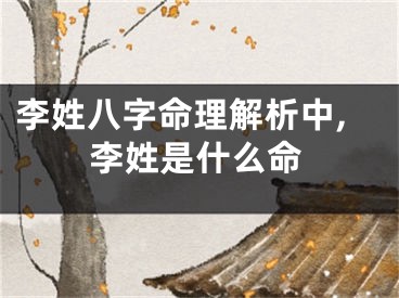 李姓八字命理解析中,李姓是什么命