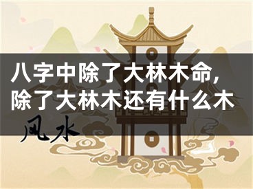 八字中除了大林木命,除了大林木还有什么木